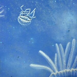 Underwater Focus (Print)