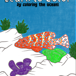 Learn to Color